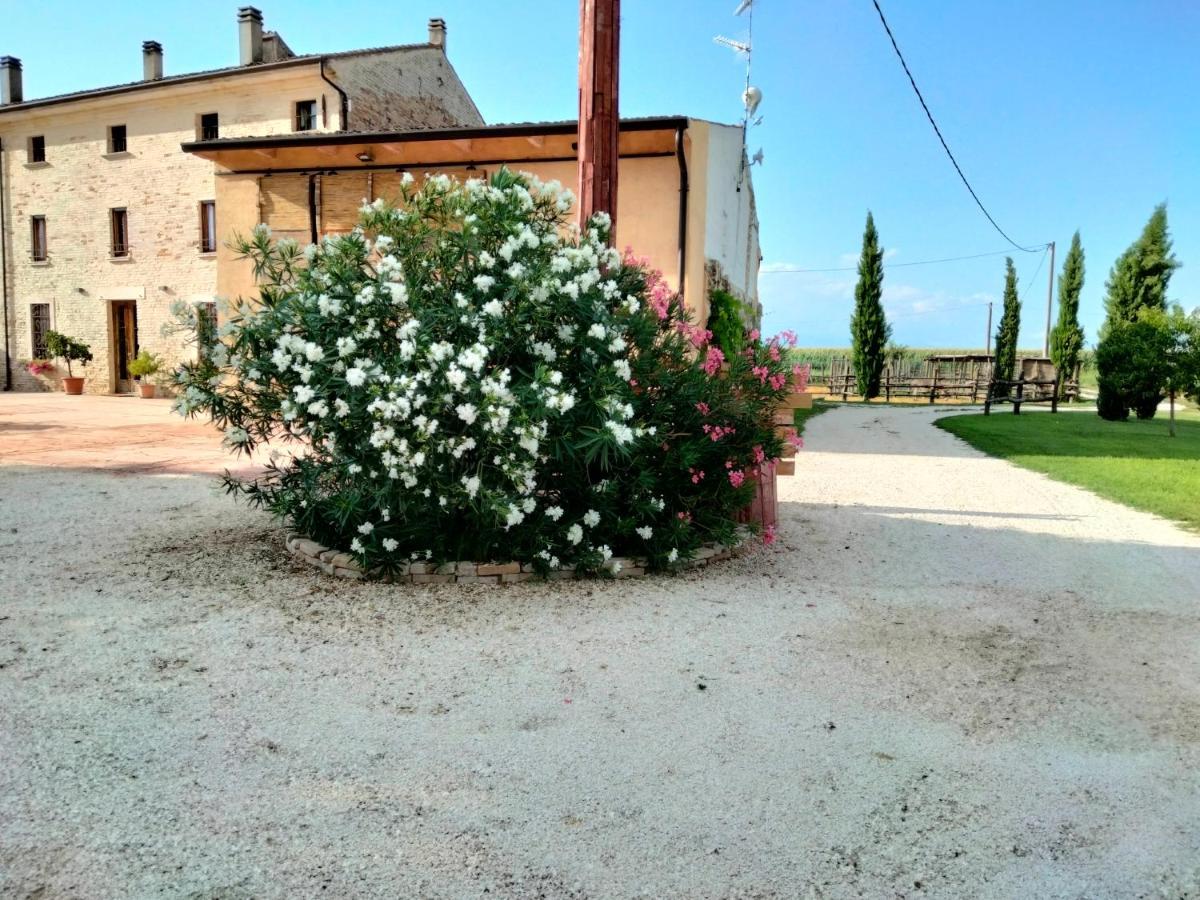 B&B Turistic 7 Castel Goffredo Luaran gambar