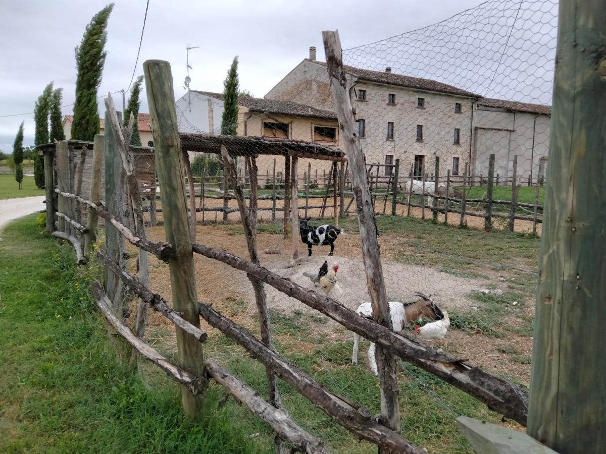 B&B Turistic 7 Castel Goffredo Luaran gambar