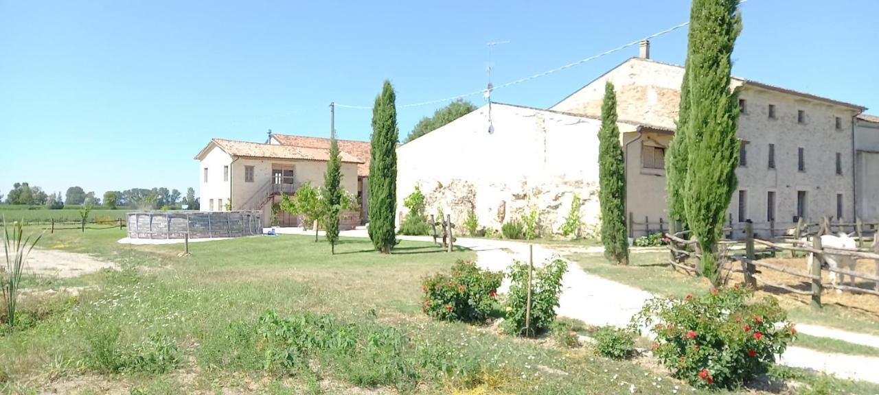 B&B Turistic 7 Castel Goffredo Luaran gambar